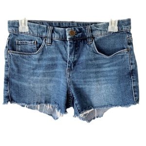 Blank NYC Hiker Short Cut Off Denim Jean Shorts 25